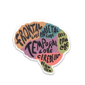 Brain anatomy Sticker