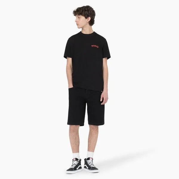 Dickies Skateboarding Wingville Denim Shorts Black