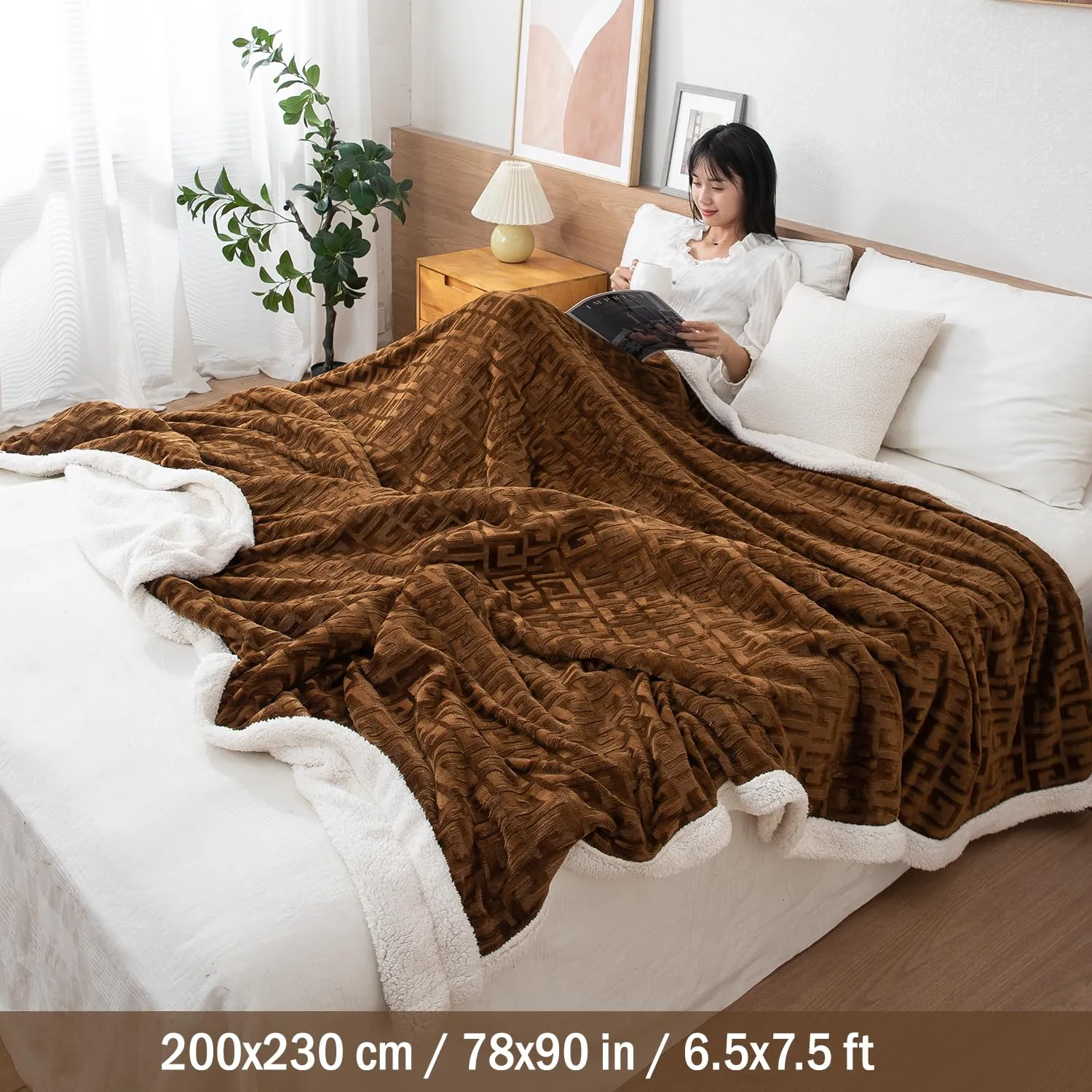 HOKIPO AC and Mild Winter Sherpa Blanket Double Bed Queen, 200x230 cm / 6.5x7.5 feet, Brown (AR-4920-BRN)