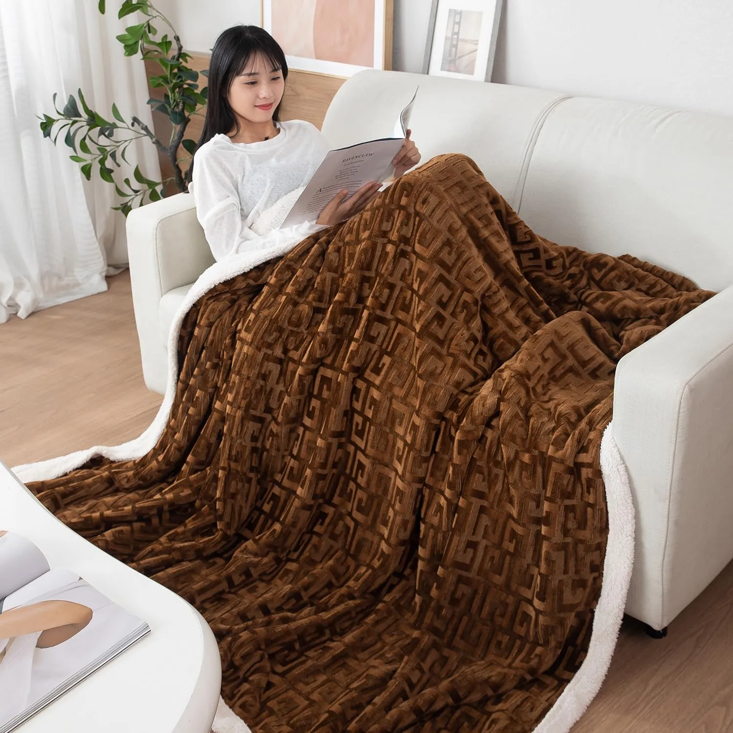 HOKIPO AC and Mild Winter Sherpa Blanket Double Bed Queen, 200x230 cm / 6.5x7.5 feet, Brown (AR-4920-BRN)